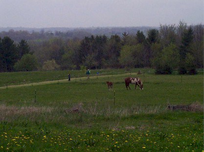 aday1.jpg (39296 bytes)