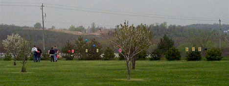 aday1.jpg (39296 bytes)